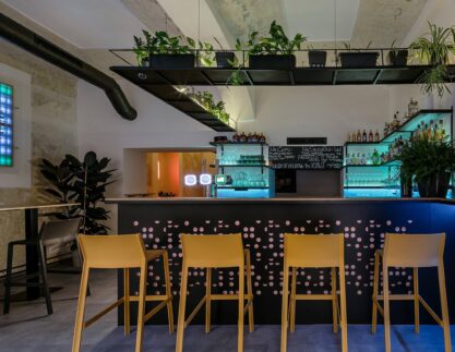 vaclavnovakcom_studioma_barkoule 1